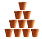 2" Mini Terracotta Pots (10-Pack)