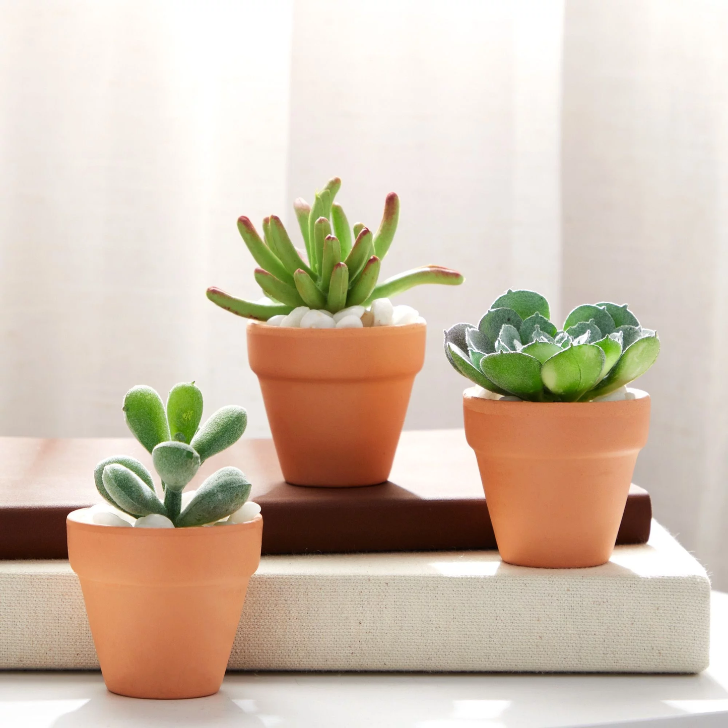 2" Mini Terracotta Pots (10-Pack)