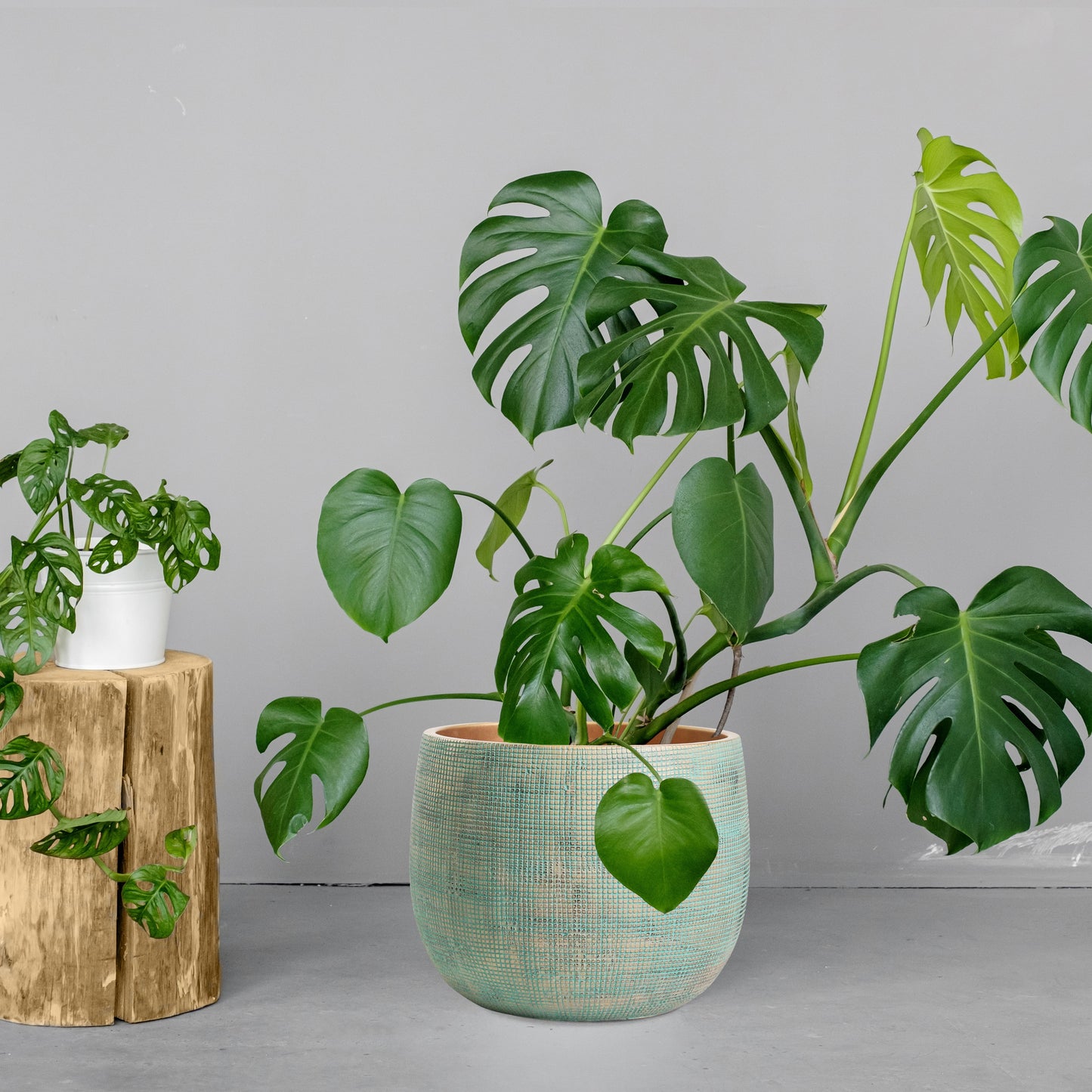 Ceramic Green Gold Plant Pot - Large 10" - Indoor & Outdoor Planters