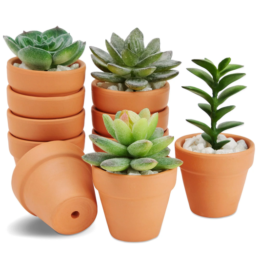 2" Mini Terracotta Pots (10-Pack)