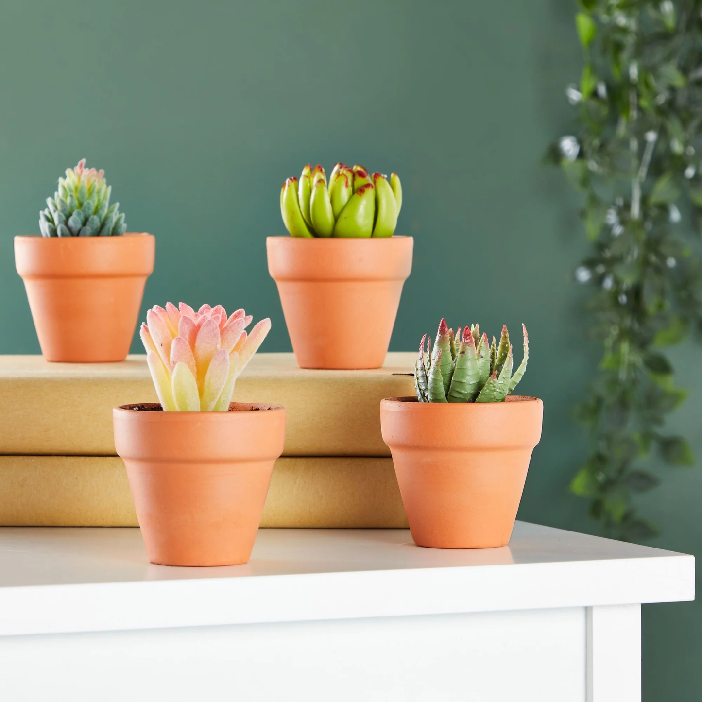 2" Mini Terracotta Pots (10-Pack)